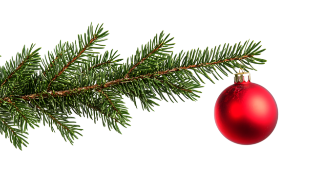 Christmas tree branch with red ornament isolated on transparent background