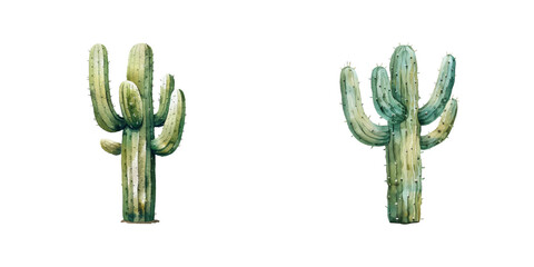 saguaro cactus watercolor vector illustration © Dar