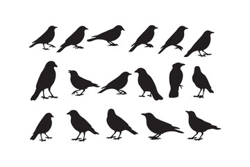 Obraz premium Collection of black bird silhouettes in various poses on a white background 3d vector