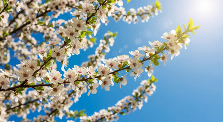 Grunge black ink splatter with paint drops and textured splash design