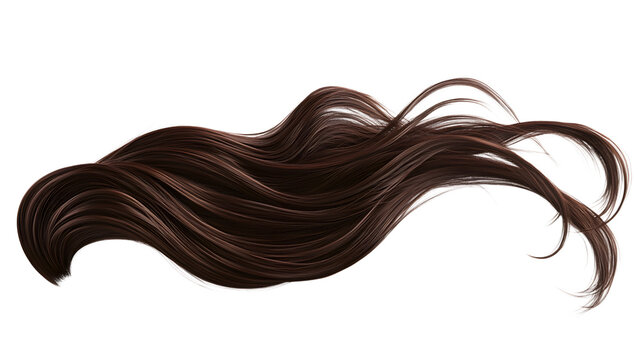 Long brown hair isolated on a transparent background, a beautiful, healthy lock - Powered by Adobe