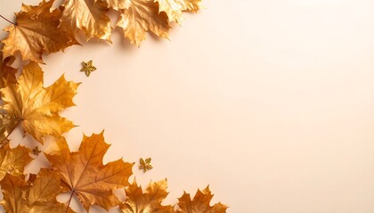Golden Maple Leaves and Star Decoration Autumn Background