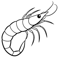 Fototapeta premium Black and white illustration of a shrimp isolated on white background