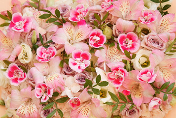 Blossoming pelargoniums and alstroemerias, spring flowers festive background, bright springtime bouquet floral card, selective focus	
