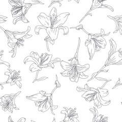 Fototapeta premium Black and white line art vintage seamless pattern with hand drawn lily flowers