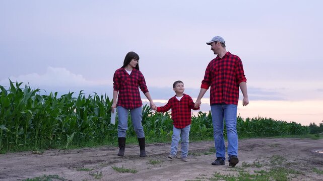 mother father child holding hands, happy people man woman child, Family s countryside walk, Growing plants in all directions, Child at the center of it all, Reliable parents always nearby, Sunset