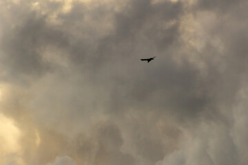 beautiful sky and clouds and moon