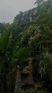 beautiful tropical waterfall