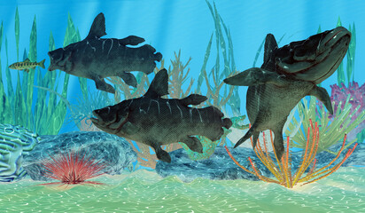 Mawsonia Ocean Fish - Mawsonia was a extinct coelacanth lobe-finned fish that prowled the deep ocean during the Triassic and Cretaceous Periods of North Africa and Brazil, South America. © Catmando