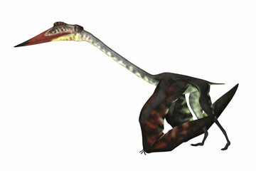 Quetzalcoatlus Walking - Quetzalcoatlus was a carnivorous pterosaur reptile that lived in the Cretaceous Period of North America. © Catmando