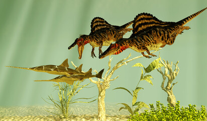 Spinosaurus hunts Onchopristis Fish - Two Spinosaurus sail back dinosaurs chase after Onchopristis fish during the Cretaceous Period.