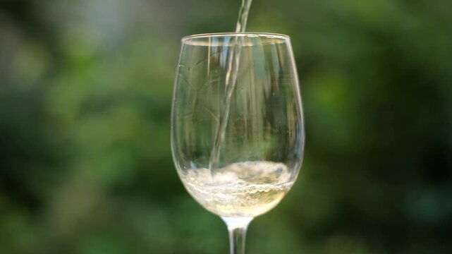 white wine being poured into a wine glass