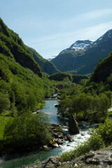 Green Forest in Bergen, Norway with a stream in the mountains 