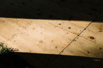 Hard light on a hardwood floor