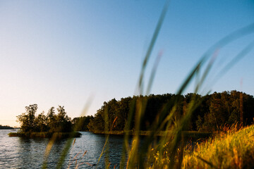 view on a lake from a swedish road, with foliage foreground