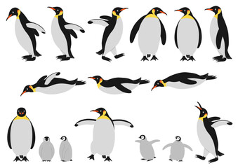 コウテイペンギンの色々なポーズのイラストのセット
