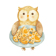 Adorable Watercolor Owl with Moon Shaped Cookies