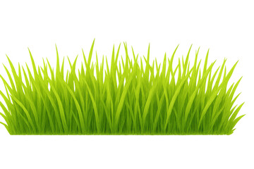 Obraz premium Realistic green grass growing on transparent background, perfect for spring and summer compositions