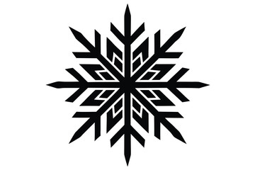 snowflake vector icon