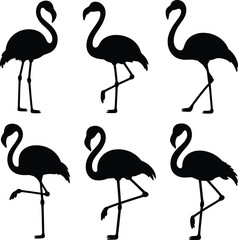 Obraz premium Collection of six black flamingo silhouettes in various elegant poses on a white background