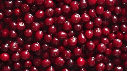 Fresh red cherries piled high showcasing the bounty of summer harvest. Glossy cherries arranged in abundance at a local market. Juicy cherry in water, rotates, close up