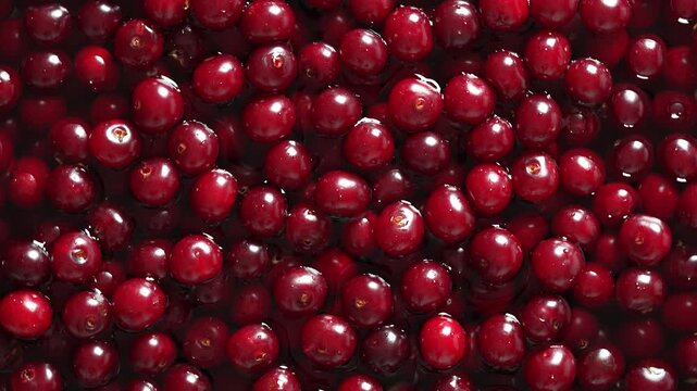 Fresh red cherries piled high showcasing the bounty of summer harvest. Glossy cherries arranged in abundance at a local market. Juicy cherry in water, rotates, close up