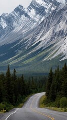 Winding road leading to a snow-capped mountain through a dense coniferous forest