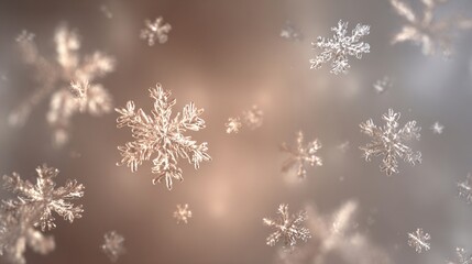 Snowflakes Falling/雪片の落下3