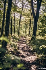 The spring season brings fresh green colors and lively growth to the enchanting magic forest
