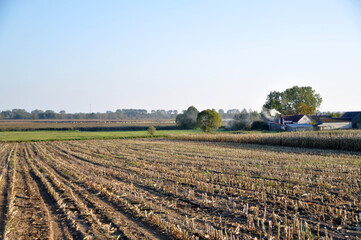 Aerial drone view of a vast patchwork of farmland in the Polish countryside, scenic rural landscape