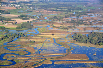 Naklejka premium Aerial drone view of the braided Narew River in Poland, a stunning natural wetland landscape