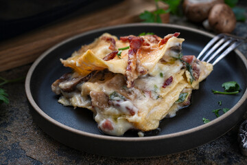 Artisan homemade traditional vincisgrassi marche pasta with mushrooms, prosciutto and bechamel cream over baked in casserole served as close-up on a design plate