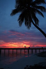 Fototapeta premium sunset on the tropical beach
