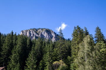 mountain landscape with a rocky peak surrounded by a dense green forest under a clear blue sky, capturing the tranquil beauty of nature on a sunny day