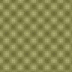 Fototapeta premium Olive green micro geometric pattern with tiny repeating dots. Minimal seamless background ideal for branding, packaging, web design, wallpaper, textile prints, and elegant modern projects.