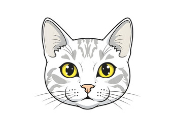 A young adorable domestic red kitten with green eyes is looking at the camera