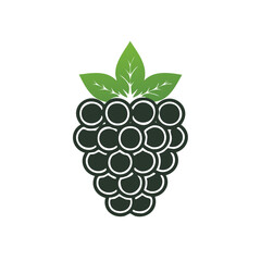 Stylized illustration of blackberry fruit with leaves. Simple design for healthy eating concept.
