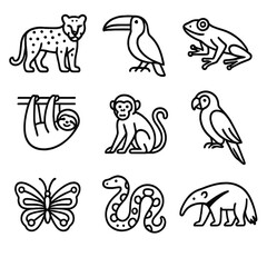 Anaconda anteater frog icons butterfly icon monkey wildlife vector parrot toucan jaguar