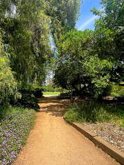 Wooded Path at the L.A. County Arboretum, Jun 14 2025, 2 18 56 PM.jpg 