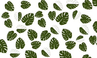 Tropical leaves on white background pattern for wallpaper and ideas for bussiness