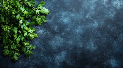 Fresh parsley sprigs on a dark stone surface