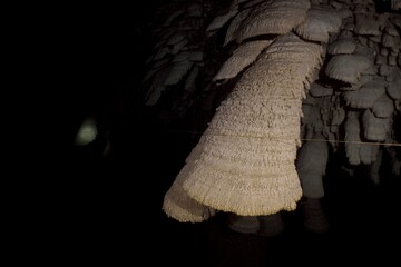 Intricate stalactites hang from a dark cave ceiling.