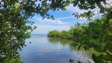 Magia natural en el mar Caribe