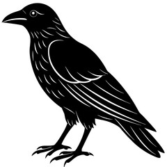 Standing Crow Vector | Black Bird Silhouette