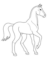 Horse, sport short-haired stallion, domestic animal symbol 2026 - vector linear picture for coloring. Stallion thoroughbred graceful animal for coloring