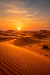 sunset in the desert