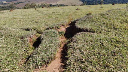 Formação de voçoroca ou ravina em meio ao pasto, em uma área degradada de uma fazenda © Ricardo_S_Levenhagen