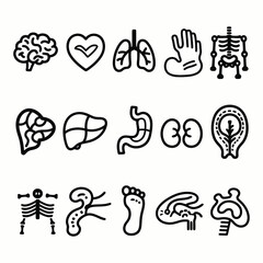Collection of hand drawn outline icons representing human organs and body parts for medical and educational purposes