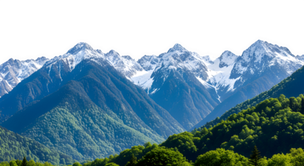 Snow-capped mountains with lush green forests under clear sky  isolate