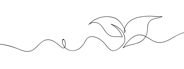 Continuous vector line drawing of tree sapling, transparent background, energy conservation, stroke correction.